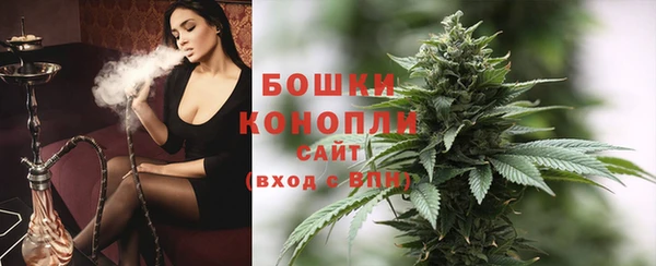 молекула духа Киреевск