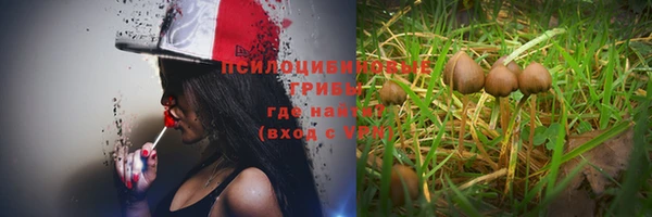 молекула духа Киреевск