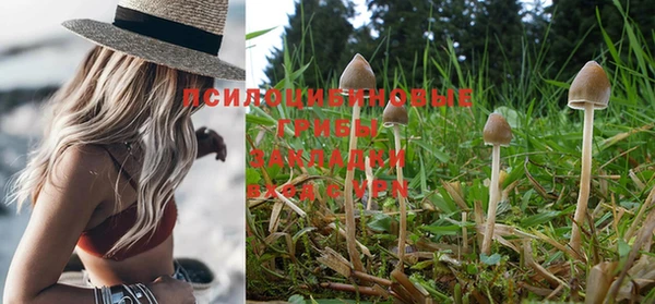 альфа пвп Кинешма