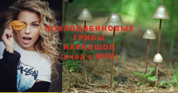 молекула духа Киреевск