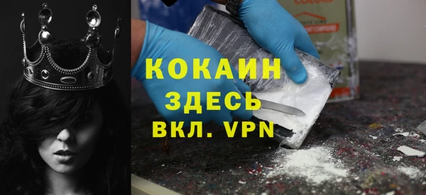прущие грибы Козловка