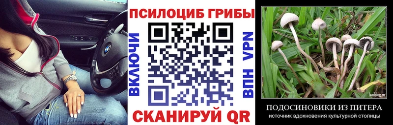 Галлюциногенные грибы прущие грибы Кохма